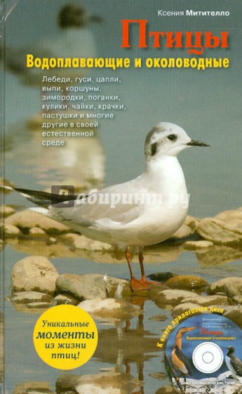 Птицы. Водоплавающие и околоводные (+CD)