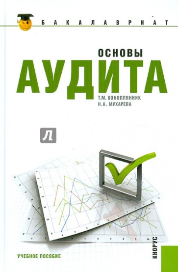 Основы аудита. Учебное пособие