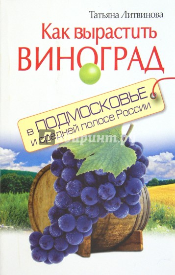 Как вырастить виноград в Подмосковье и России