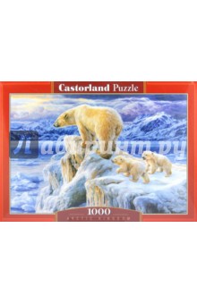 Puzzle-1000    (C-102525)
