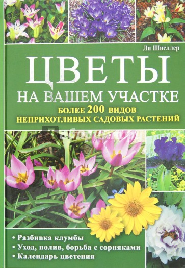 Цветы на вашем участке