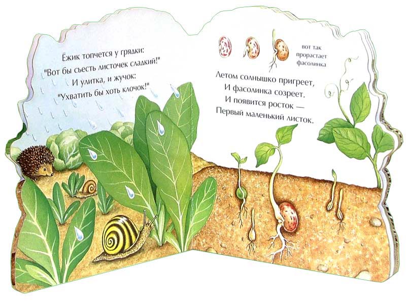 Фасолинка перешагивать