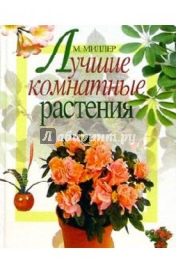 Лучшие комнатные растения