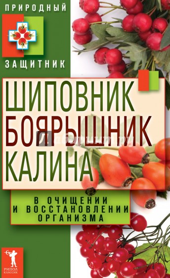 Шиповник, боярышник калина в очищении и восстановлении организма