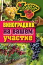 Животовская Екатерина Васильевна Виноградник на вашем участке виноградник на вашем участке
