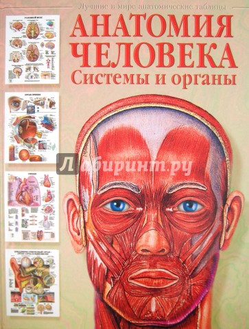 Анатомия человека. Системы и органы