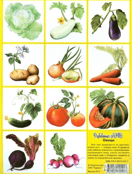 Иллюстрация 1 из 5 для Развивающее лото "Овощи" | Лабиринт - игрушки. Источник: Лабиринт