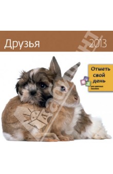 Календарь-органайзер 2013. Друзья.