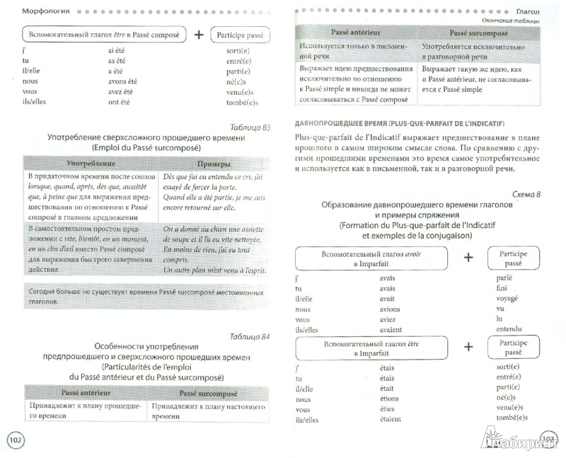 free grundkurs biomathematik mathematische modelle