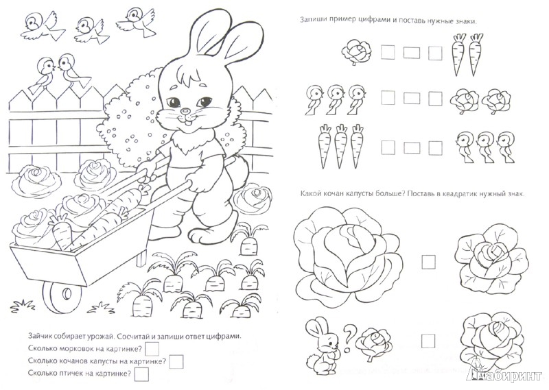Раскраска Hatber Уроки математики купить по цене ₽ в интернет-магазине Детский мир