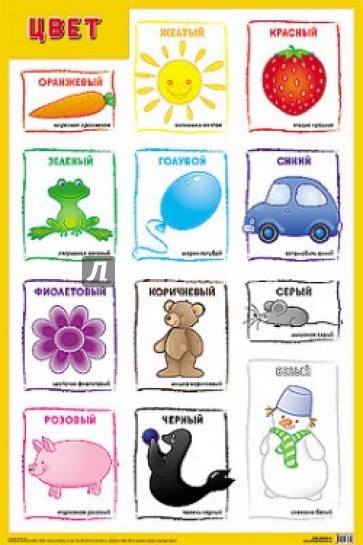Плакат "Цвет"