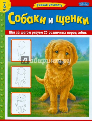 Собаки и щенки