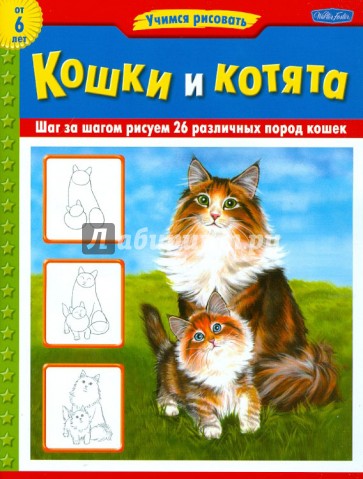Кошки и котята