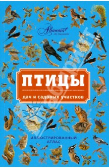 Обложка книги Птицы дач и садовых участков, Бабенко Владимир Григорьевич