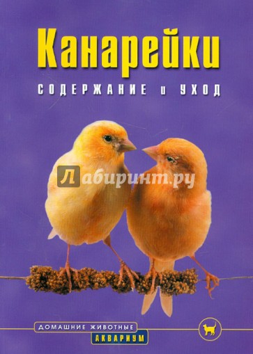 Канарейки. Содержание и уход