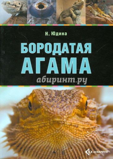 Бородатая агама