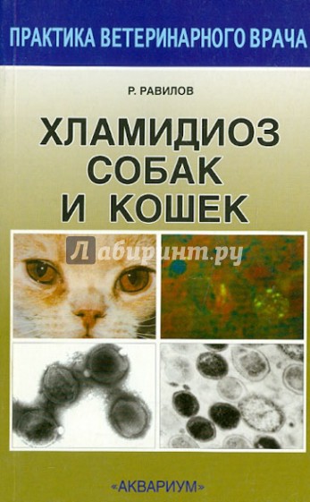 Хламидиоз кошек