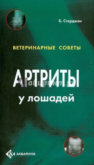 Артриты у лошадей