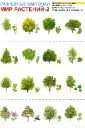 Мир растений-2. Комплект разрезных карточек раздаточные карточки деревья и кустарники 16 карточек