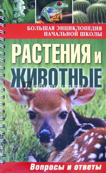 Растения и животные: вопросы и ответы