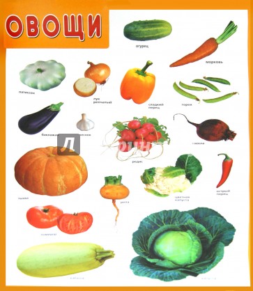 Плакат "Овощи"