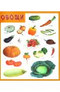 Плакат Овощи