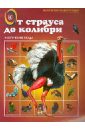 От страуса до колибри. Экзотические птицы - Бабенко И. В.