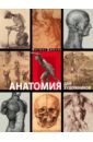 Дюваль Матиас-Мария Анатомия для художников 3dtotal фигура человека для художника большая книга анатомии референсов и художественных поз