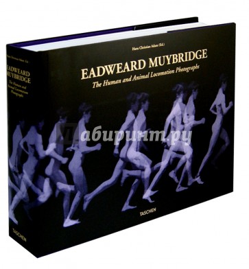 Eadweard Muybridge. The Human and Animal Locomotion Photographs