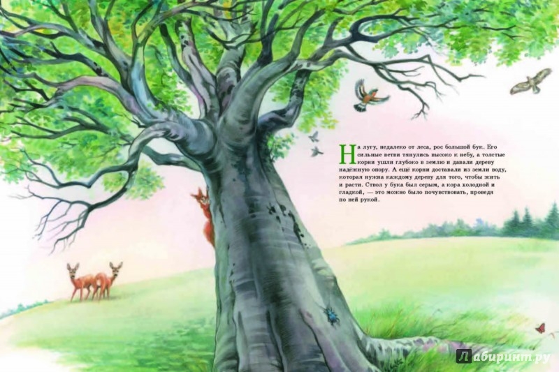 Иллюстрация 12 из 52 для Маленькая берёзка - Марианна Хофманн | Лабиринт - книги. Источник: Лабиринт