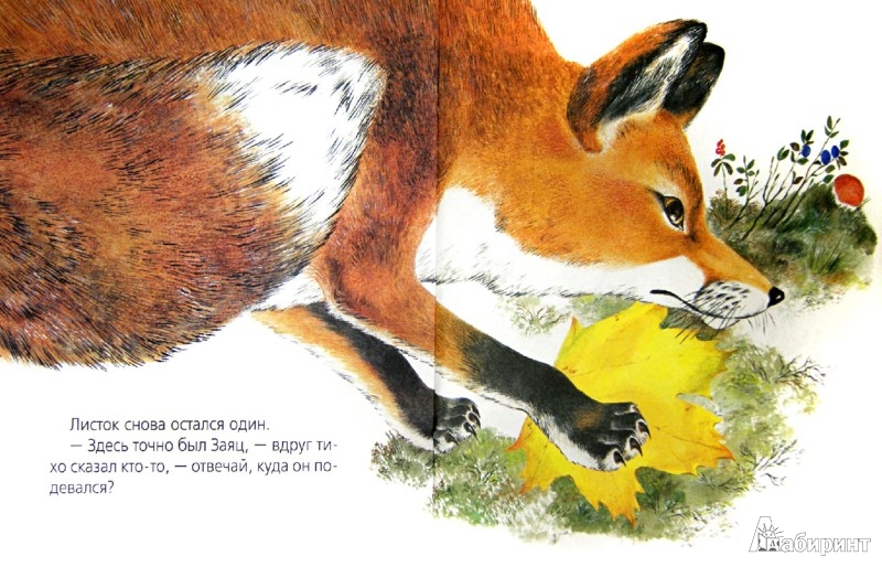 Иллюстрация 1 из 17 для Лесная сказка - Наталья Чарушина-Капустина | Лабиринт - книги. Источник: Лабиринт