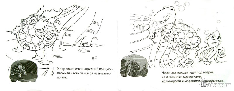 Иллюстрация 1 из 12 для Раскраска с цветными наклейками "ЧЕРЕПАХА" (23825) | Лабиринт - книги. Источник: Лабиринт