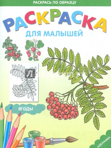 Раскраска Ягоды