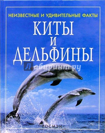 Киты и дельфины