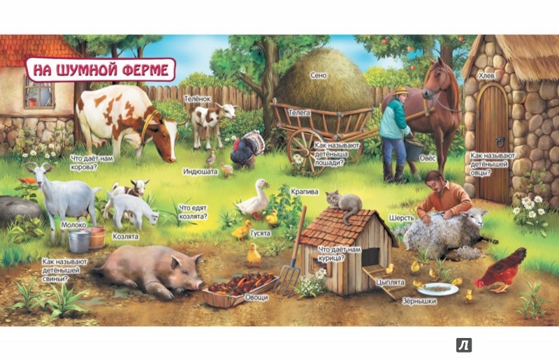 Иллюстрация 2 из 26 для Животные | Лабиринт - книги. Источник: Лабиринт