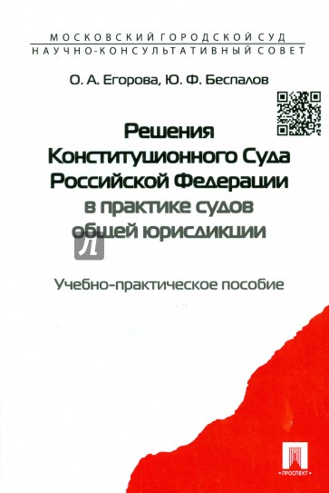 Решения Конституционного Суда РФ в практике судов общей юрисдикции. Учебно-практическое пособие