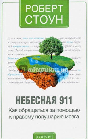 Небесная 911. Как обращаться за помощью к правому полушарию мозга