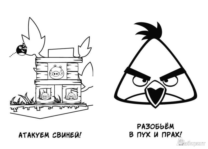Иллюстрация 1 из 26 для Angry Birds. Зададим жару! Могучая книга раскрасок, игр и заданий | Лабиринт - книги. Источник: Лабиринт
