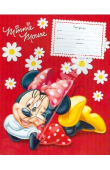   Minnie Mouse 24 ,  (30651-MM/VL)