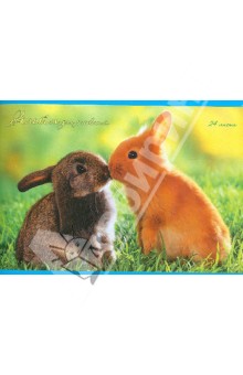 Альбом для рисования. 24 листа. Милые кролики (А24892).
