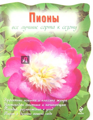 Пионы