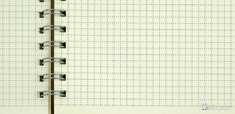Иллюстрация 1 из 6 для Блокнот в клетку на спирали с крафт-обложкой, 80 листов, А5 (070059) | Лабиринт - канцтовы. Источник: Лабиринт