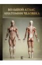 Большой атлас анатомии человека атлас анатомии человека