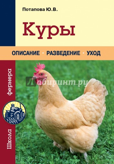 Куры. Описание, разведение, уход