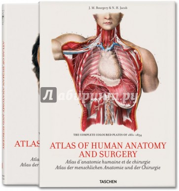 Bourgery. Atlas of Human Anatomy and Surgery