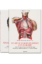 Le Minor Jean-Marie, Sick Henri Bourgery. Atlas of Human Anatomy and Surgery le minor jean marie sick henri bourgery atlas of human anatomy and surgery