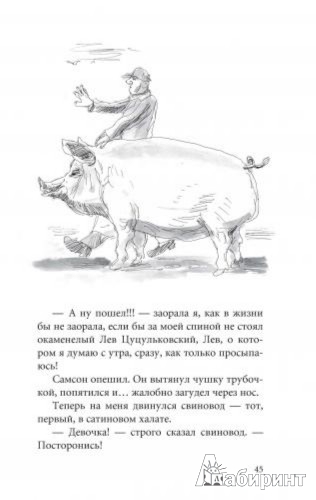 Иллюстрация № 3 к книге