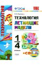 Выгонов Виктор Викторович Технология. 1-4 классы. Летающие модели (+CD) ФГОС
