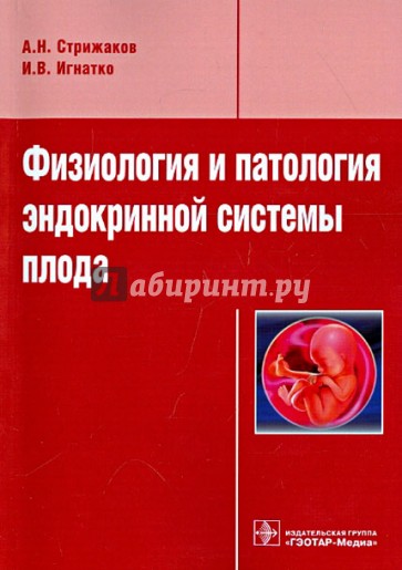 Физиология и патология эндокринной системы плода