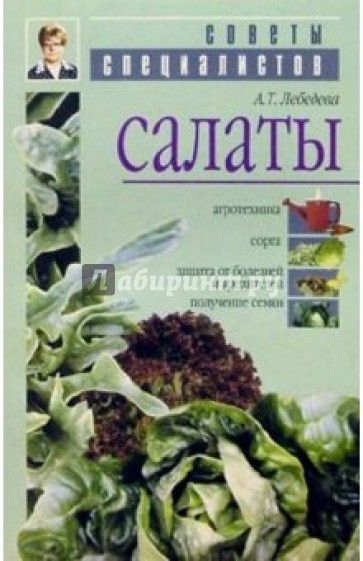 Салаты